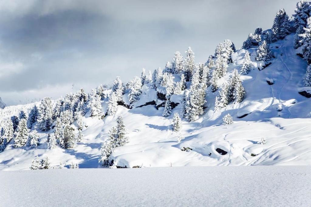 شقة Domaine Du Jardin Alpin كورشوفيل المظهر الخارجي الصورة